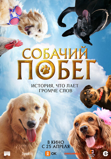Постер Трейлер фильма Собачий побег 2023 онлайн бесплатно в хорошем качестве