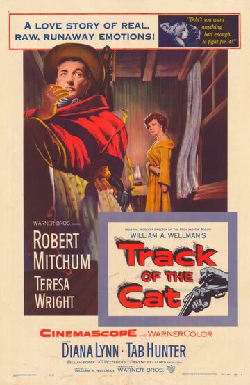 Постер Смотреть фильм След кота 1954 онлайн бесплатно в хорошем качестве
