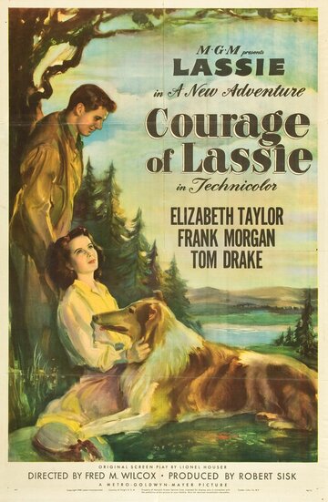 Постер Смотреть фильм Храбрость Лэсси 1946 онлайн бесплатно в хорошем качестве