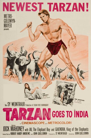 Смотреть Тарзан едет в Индию онлайн в HD качестве 720p