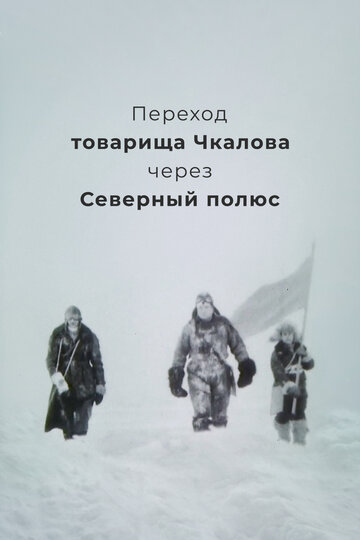 Постер Смотреть фильм Переход товарища Чкалова через Северный полюс 1990 онлайн бесплатно в хорошем качестве