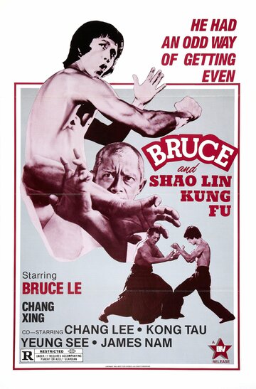 Постер Смотреть фильм Брюс и кунг-фу монастыря Шао-Линь 1977 онлайн бесплатно в хорошем качестве