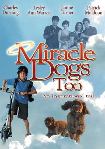 Смотреть Зак и чудо-собаки онлайн в HD качестве 720p