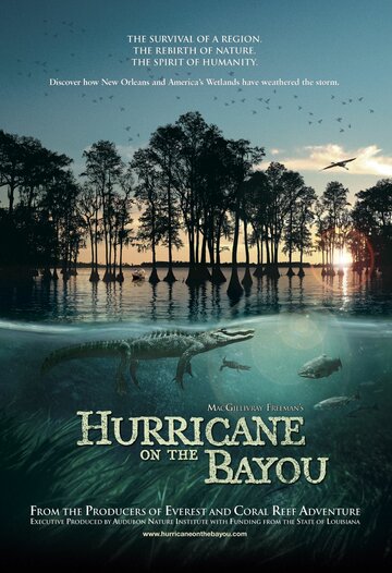 Постер Трейлер фильма Ураган на Байу 2006 онлайн бесплатно в хорошем качестве