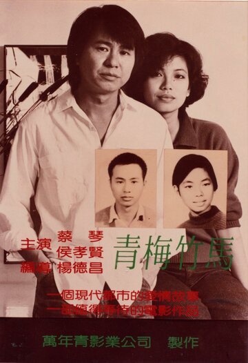 Постер Смотреть фильм Тайбэйская история 1985 онлайн бесплатно в хорошем качестве