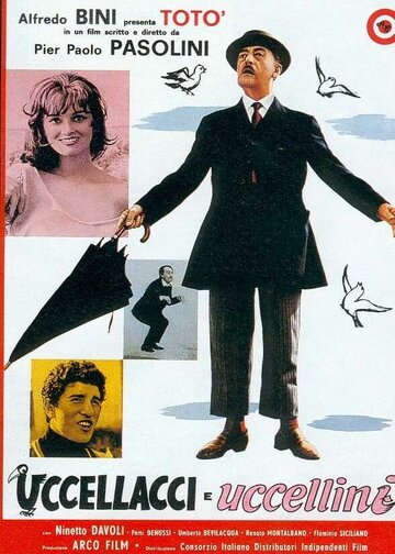 Постер Смотреть фильм Птицы большие и малые 1966 онлайн бесплатно в хорошем качестве