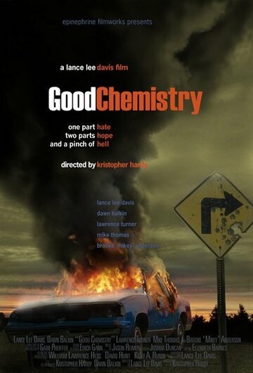 Постер Смотреть фильм Хорошая химия 2008 онлайн бесплатно в хорошем качестве