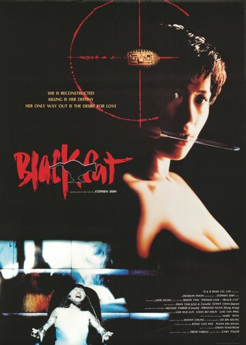 Постер Смотреть фильм Черная кошка 1992 онлайн бесплатно в хорошем качестве