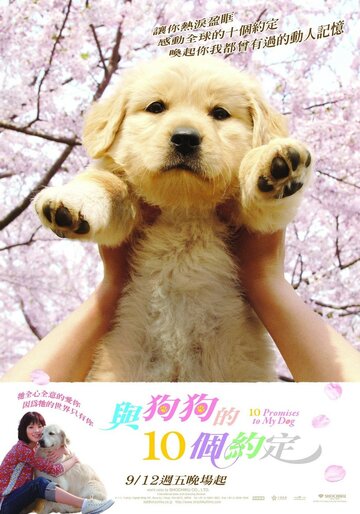 Постер Смотреть фильм 10 обещаний моей собаке 2008 онлайн бесплатно в хорошем качестве