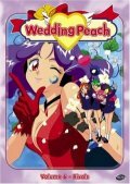 Постер Трейлер сериала Свадебный персик 1995 онлайн бесплатно в хорошем качестве