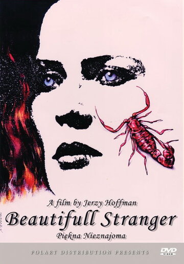 Постер Смотреть фильм Прекрасная незнакомка 1992 онлайн бесплатно в хорошем качестве