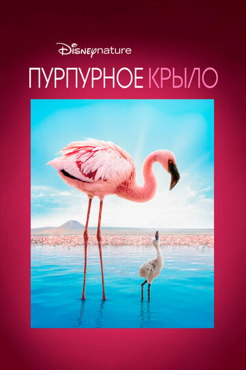 Постер Трейлер фильма Пурпурные крылья: Тайна фламинго 2008 онлайн бесплатно в хорошем качестве