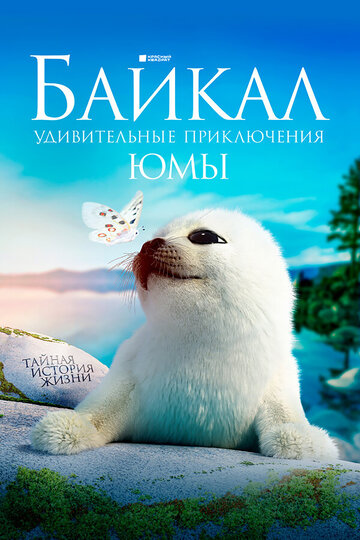 Смотреть Байкал. Удивительные приключения Юмы (2020) онлайн в HD качестве 720p