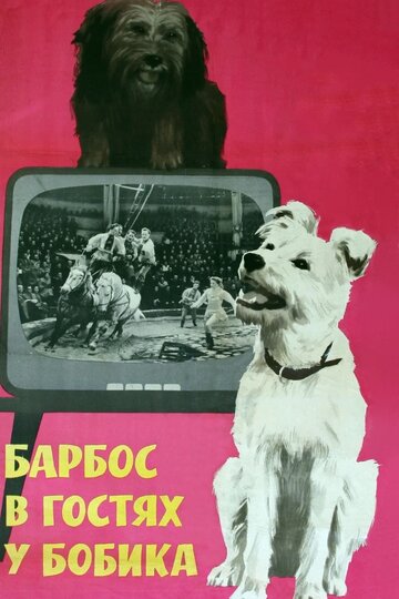 Постер Смотреть фильм Барбос в гостях у Бобика 1965 онлайн бесплатно в хорошем качестве