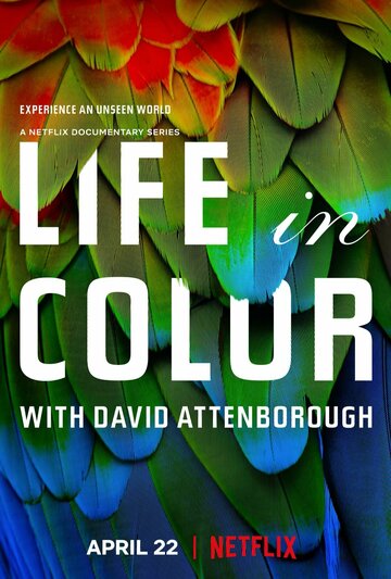 Смотреть Жизнь в цвете с Дэвидом Аттенборо онлайн в HD качестве 720p