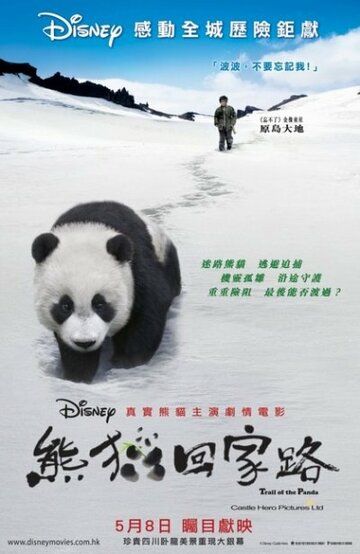 Смотреть След панды онлайн в HD качестве 720p