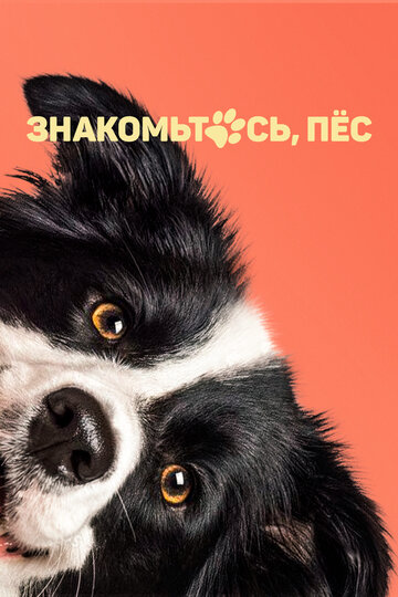 Постер Смотреть фильм Знакомьтесь, пёс 2022 онлайн бесплатно в хорошем качестве