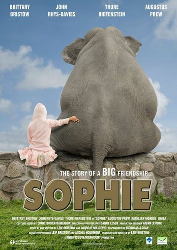 Постер Трейлер фильма Софи 2010 онлайн бесплатно в хорошем качестве