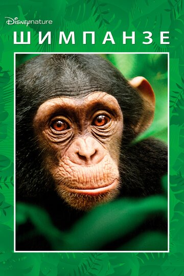 Смотреть Шимпанзе онлайн в HD качестве 720p