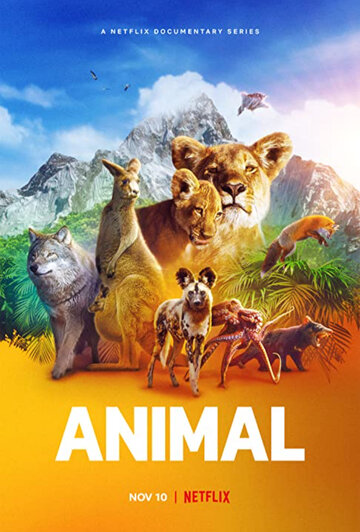 Постер Смотреть сериал Удивительные животные 2021 онлайн бесплатно в хорошем качестве