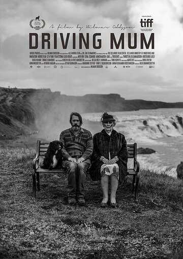 Постер Смотреть фильм Поездка с мамой 2022 онлайн бесплатно в хорошем качестве