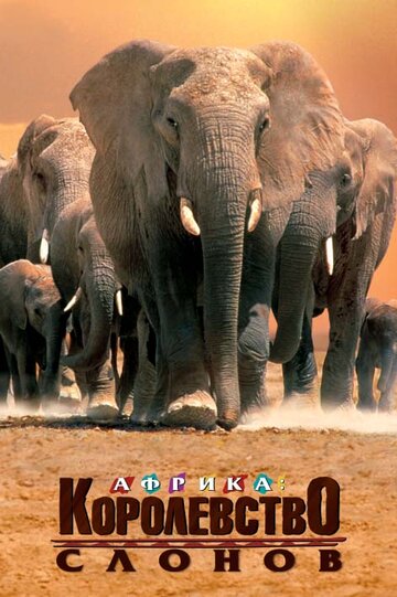 Постер Смотреть фильм Африка — королевство слонов 1998 онлайн бесплатно в хорошем качестве