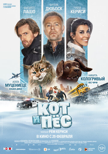 Постер Смотреть фильм Кот и пёс 2024 онлайн бесплатно в хорошем качестве
