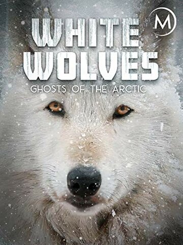 Постер Смотреть фильм Белые волки: призраки Арктики 2017 онлайн бесплатно в хорошем качестве