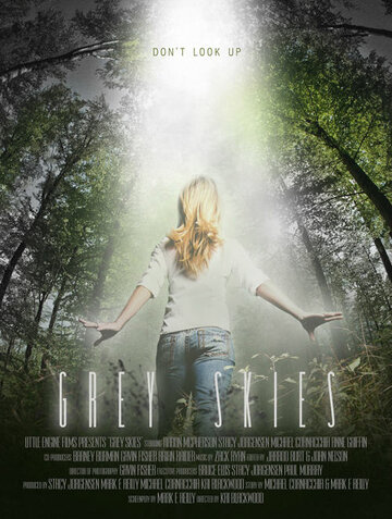 Постер Смотреть фильм Серые небеса 2010 онлайн бесплатно в хорошем качестве
