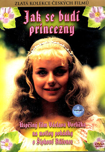 Постер Смотреть фильм Как разбудить принцессу 1978 онлайн бесплатно в хорошем качестве
