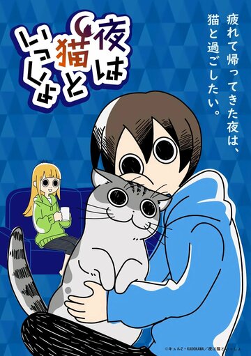 Постер Смотреть сериал Вечера с котом 2022 онлайн бесплатно в хорошем качестве
