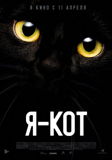 Постер Смотреть фильм Я — кот 2023 онлайн бесплатно в хорошем качестве