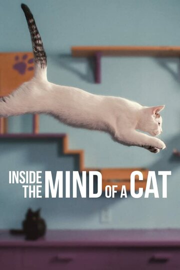 Смотреть Внутри разума кошки онлайн в HD качестве 720p