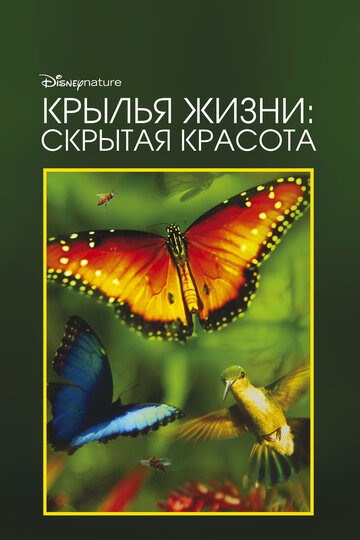 Смотреть Скрытая красота: История любви, которая питает Землю онлайн в HD качестве 720p