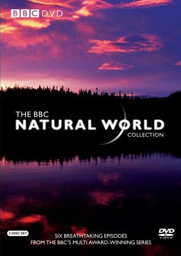 Смотреть BBC: Живой мир онлайн в HD качестве 720p
