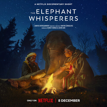 Смотреть Заклинатели слонов онлайн в HD качестве 720p