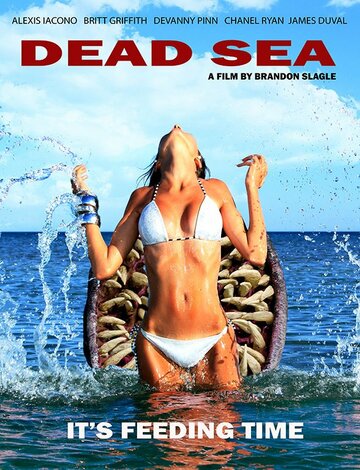 Смотреть Мёртвое море онлайн в HD качестве 720p