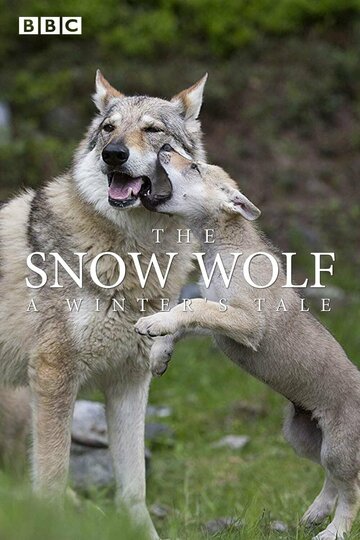 Смотреть Снежный волк. Зимняя сказка онлайн в HD качестве 720p