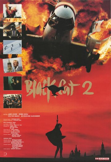 Постер Трейлер фильма Черная кошка 2 1992 онлайн бесплатно в хорошем качестве