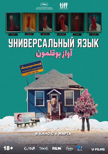 Смотреть Универсальный язык онлайн в HD качестве 720p