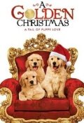 Постер Смотреть фильм Золотое Рождество 2009 онлайн бесплатно в хорошем качестве