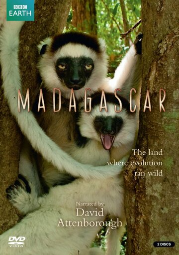 Постер Смотреть сериал BBC: Мадагаскар 2011 онлайн бесплатно в хорошем качестве