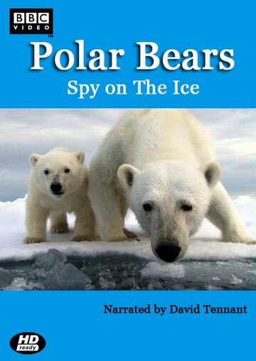 Постер Смотреть сериал Белый медведь: Шпион во льдах 2011 онлайн бесплатно в хорошем качестве