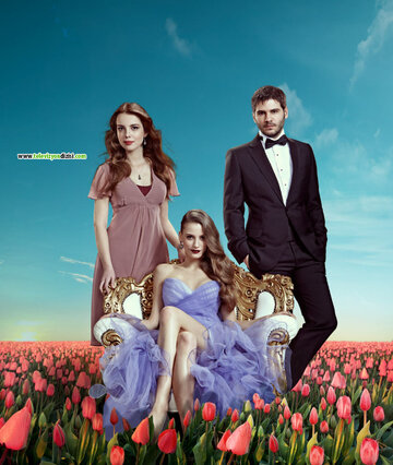 Постер Смотреть сериал Пора тюльпанов 2010 онлайн бесплатно в хорошем качестве
