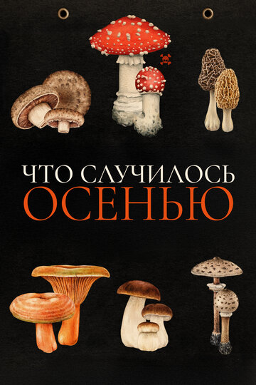 Постер Что случилось осенью фильм 2024 смотреть онлайн бесплатно в хорошем качестве - HDrezka.by