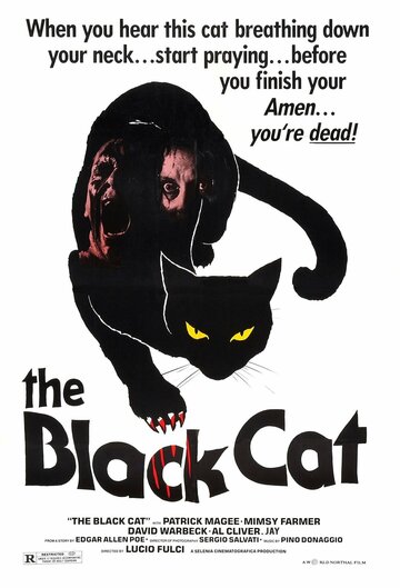 Смотреть Черный кот онлайн в HD качестве 720p