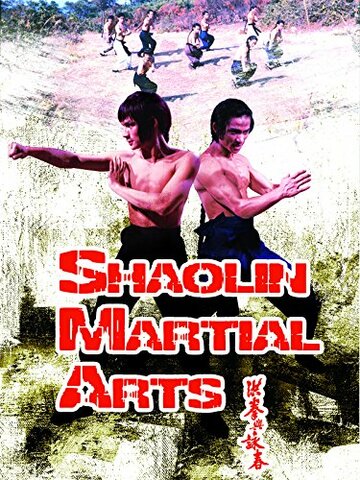 Постер Смотреть фильм Боевые искусства Шаолиня 1974 онлайн бесплатно в хорошем качестве