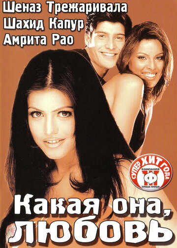Постер Смотреть фильм Какая она, любовь 2003 онлайн бесплатно в хорошем качестве