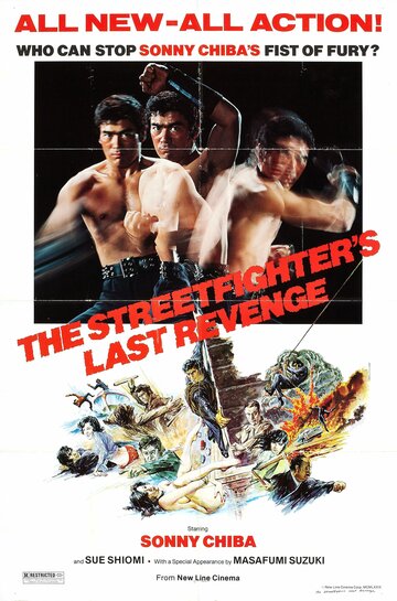 Постер Смотреть фильм Последняя месть уличного бойца 1974 онлайн бесплатно в хорошем качестве