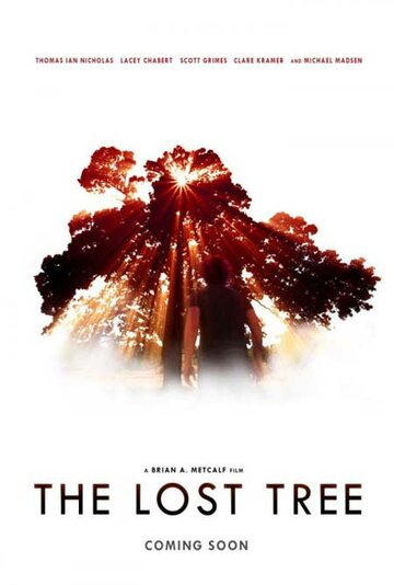 Постер Смотреть фильм Потерянное дерево 2016 онлайн бесплатно в хорошем качестве